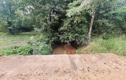 8172 Co Rd 30, Magnolia, AL 36754