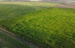 W Boundary Rd, Pretty Prairie, KS 67570