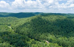 Tbd Hwy 8, Norman, AR 71960