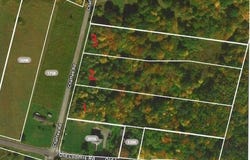 1 Chaffee Road lot: 29, Sullivan County, NY 12754