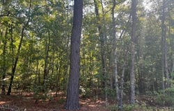Mulberry Road, Barnwell, SC 29812