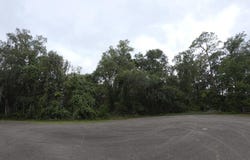 SE 23rd Ln, Trenton, FL 32693