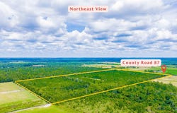 County Road 87, Elberta, AL 36530