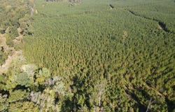 Kilpatrick Rd Tract 2A, Eatonton, GA 31024