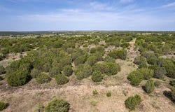 Bluff View Trail, Gustine, TX 76455