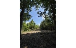 PIN 636351A CR 4855, TIMPSON, TX 75975