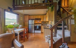 31 Castle Road, Mt. Crested Butte, CO 81225