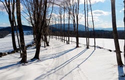Marsh Cross Road, Andover, VT 05143