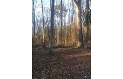 Old Cox Road lot: 6, Blackstone, VA 23824