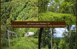 285 Davis Lane, Hamden, NY 13782
