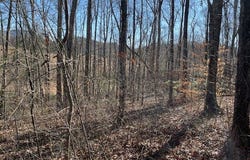 The Woodlands lot: 2E, Hayesville, NC 28904
