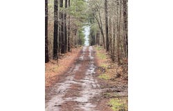 31 Acres off Watson Rd, Kilgore, TX 75662