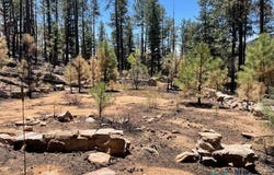 1045 Ctc Ranch Canyon Road, Mora, NM 87732
