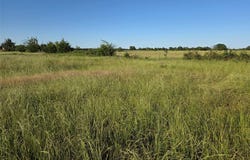 C. R. 2610, Ivanhoe, TX 75447