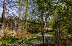816 Cornelius Road, Utopia, TX 78884