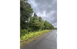 Old Beechwood Road, Iron River, MI 49935