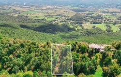 Mt Clouds Tr lot: 31, Duff, TN 37729