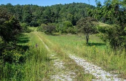 3305 Zacks Fork Road, Lenoir, NC 28645