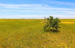 Parcel 4 County Road 2, Rush, CO 80833