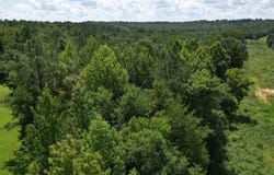 McAbee Road, Beech Bluff, TN 38313