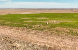 E Quincy Ave, Strasburg, CO 80136