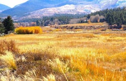 Park Drive, South Fork, CO 81154