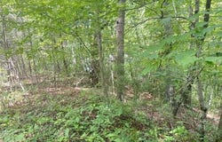 Fox Layre Rd lot: 9, Franklin, NC 28734