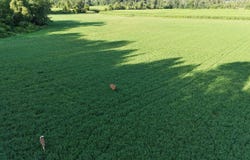1675 Robinson Road, Ubly, MI 48475