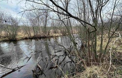 McGillis Avenue, Caspian, MI 49915