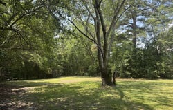 1114 Oak Avenue, Rockingham, NC 28379