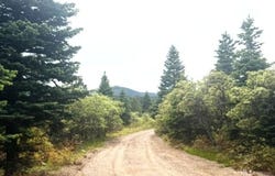 6380 CO RD 140, Westcliffe, CO 81252