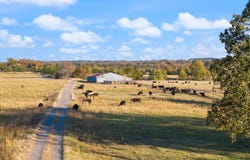 172 Blackfork Rd, Greenbrier, AR 72058