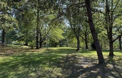 Cypress Rd, BUCHANAN, TN 38222