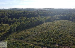 LAKESIDE DR, Danville, VA 24540