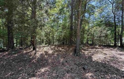 ASHBOROUGH DRIVE lot: 117, COTTONDALE, AL 35453