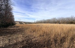 11615 State Highway 32, Stockton, MO 65785