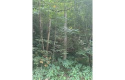 9999 May Fork Road, Manchester, KY 40962