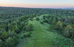 Meadville Road, Springview, NE 68778