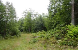 320 Acre Co Rd 510, Marquette, MI 49855