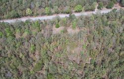 Rolling Manor Dr, Conway, AR 72032
