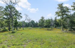 305 Cistern Rd, Rosanky, TX 78953