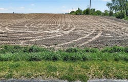 8200 County Rd 19, Corcoran, MN 55340