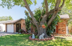226 Springbranch Drive, Garland, TX 75043