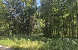 863 Aronimink Drive, Harbor Springs, MI 49740