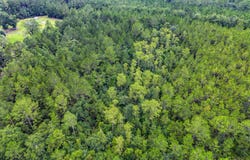 Morgan Road, Waycross, GA 31503