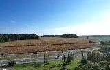 15519 COASTAL HWY, MILTON, DE 19968