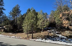 0 Flume Canyon, Wrightwood, CA 92397