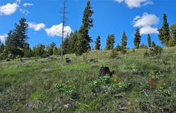 4 Tract Garnet Range, Drummond, MT 59832