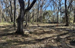 83rd Rd, Old Town, FL 32680