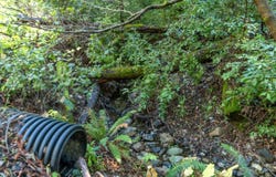 4 Old Mill AVE, FELTON, CA 95018